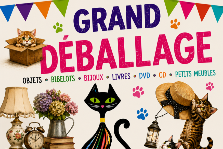 Grand déballage d'Adopt1chat à Challans