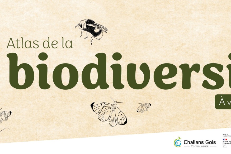 Atlas de la biodiversité : place aux sorties !